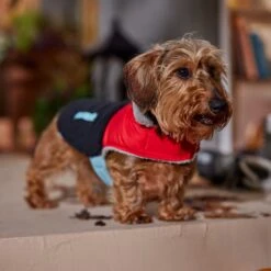 Frisco Medium Weight Retro Colorblock Mixed Media Dog & Cat Coat -Blue Buffalo Shop 719462 PT7. AC SS1800 V1692379031