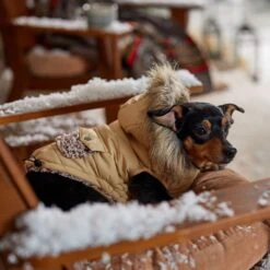 Frisco Heavy Weight Matte Quilted Dog & Cat Parka With Cozy Fleece Lining -Blue Buffalo Shop 719654 PT7. AC SS1800 V1692376037