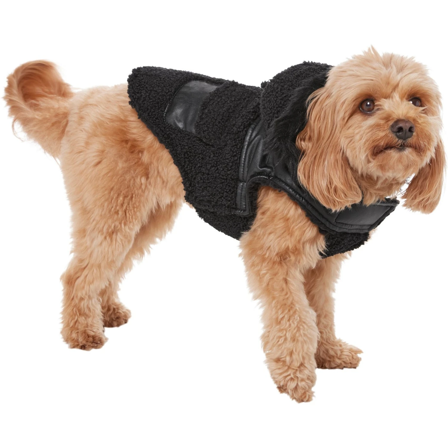 Frisco Medium Weight Faux Leather Dog & Cat Parka With Faux Fur Trimmed Hood, Black 5 Frisco Medium Weight Faux Leather Dog & Cat Parka With Faux Fur Trimmed Hood, Black - Image 3