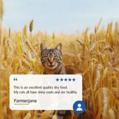 Farmina Natural & Delicious Chicken & Ancestral Low-Grain Formula Dry Cat Food -Blue Buffalo Shop 71990 PT7. AC SS1800 V1679329995