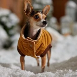 Frisco Heavy Weight Lux Corduroy Insulated Dog & Cat Coat With Fur Trimmed Hood -Blue Buffalo Shop 719966 PT7. AC SS1800 V1692377819