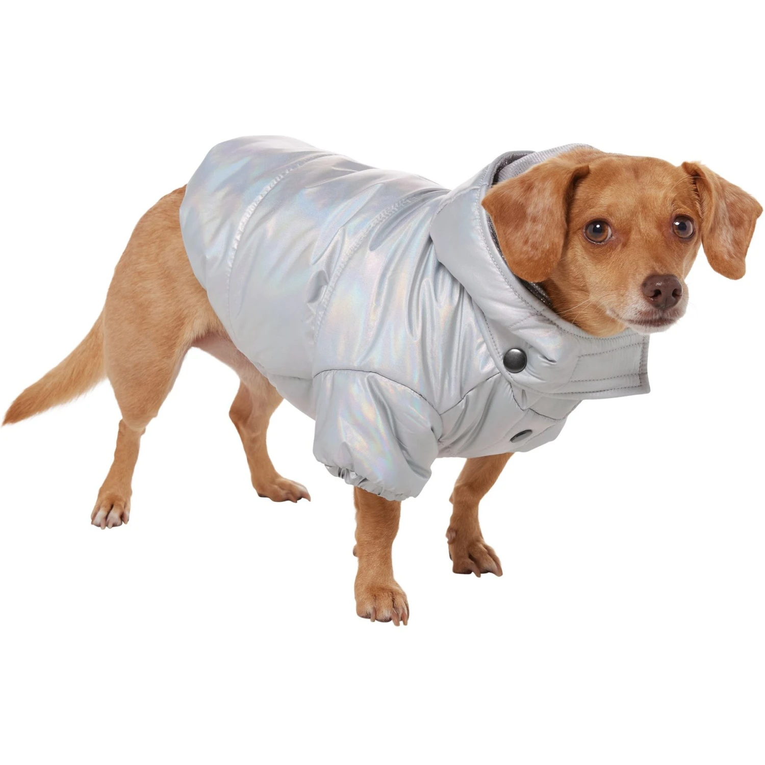 Frisco Heavy Weight Iridescent Quilted Dog & Cat Hooded Puffer Coat 5 Frisco Heavy Weight Iridescent Quilted Dog & Cat Hooded Puffer Coat - Image 3
