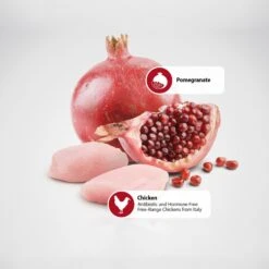 Farmina Natural & Delicious Chicken Grain-Free Formula Dry Cat Food 12 Farmina Natural & Delicious Chicken Grain-Free Formula Dry Cat Food -Blue Buffalo Shop 72015 PT4. AC SS1800 V1489367656