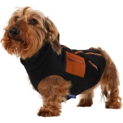 Frisco Light Weight Leopard Print Lined Fleece Dog & Cat Vest -Blue Buffalo Shop 720694 PT2. AC SS1800 V1703194382