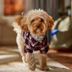 Frisco Red & Blue Plaid Dog & Cat Flannel Shirt -Blue Buffalo Shop 720838 PT7. AC SS1800 V1693400998
