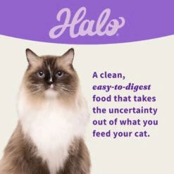 Halo Whitefish, Salmon, Seafood Medley Variety Pack Grain-Free Pate Adult Wet Cat Food, 5.5-oz Can, Case Of 12 13 Halo Whitefish, Salmon, Seafood Medley Variety Pack Grain-Free Pate Adult Wet Cat Food, 5.5-oz Can, Case Of 12 -Blue Buffalo Shop 721910 PT5. AC SS1800 V1669911267