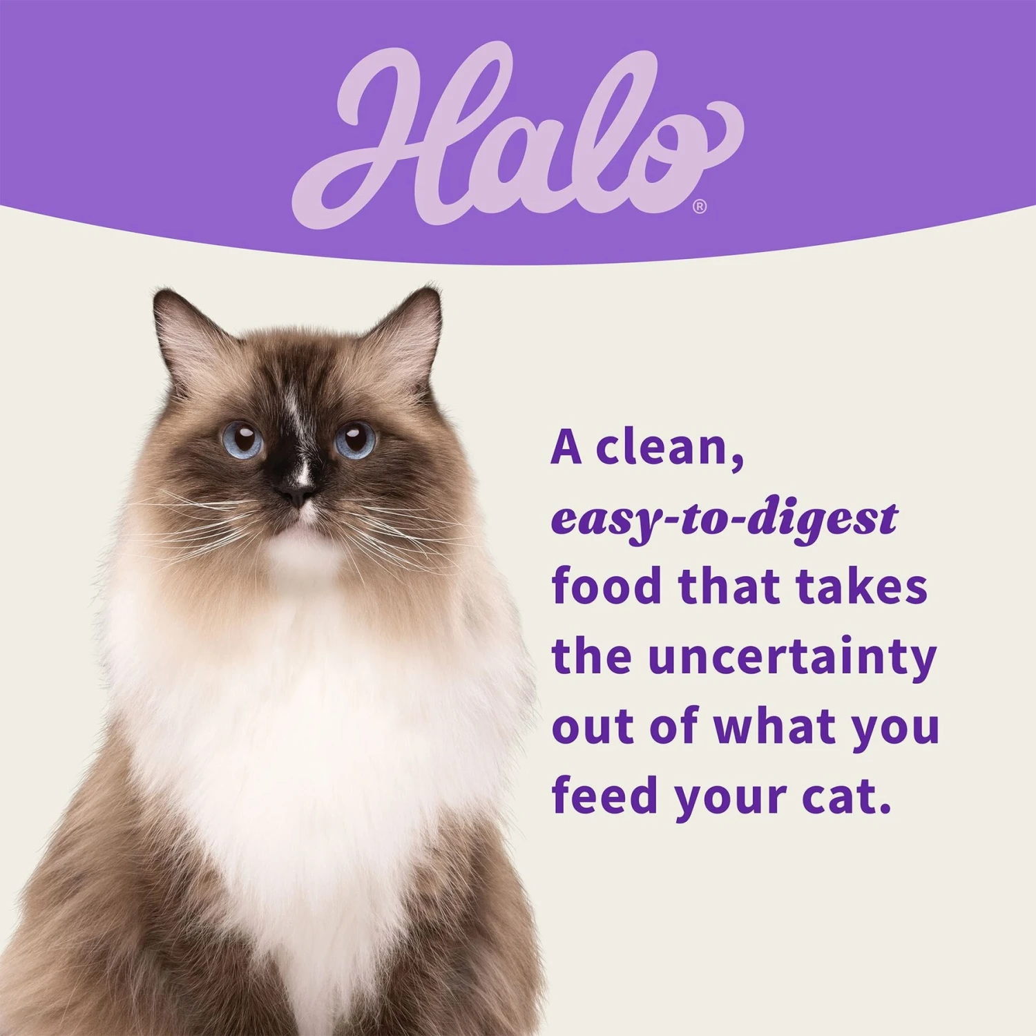 Halo Whitefish, Salmon, Seafood Medley Variety Pack Grain-Free Pate Adult Wet Cat Food, 5.5-oz Can, Case Of 12 8 Halo Whitefish, Salmon, Seafood Medley Variety Pack Grain-Free Pate Adult Wet Cat Food, 5.5-oz Can, Case Of 12 - Image 6