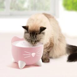 Catit Pixi Cat Drinking Fountain 13 Catit Pixi Cat Drinking Fountain -Blue Buffalo Shop 727598 PT5. AC SS1800 V1669828533