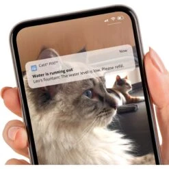 Catit Pixi Smart Stainless Top Cat Fountain Pump -Blue Buffalo Shop 727662 PT4. AC SS1800 V1669829081