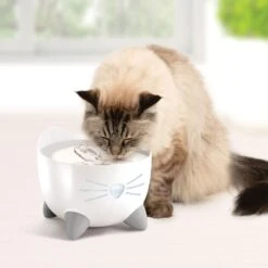 Catit Pixi Smart Stainless Top Cat Fountain Pump -Blue Buffalo Shop 727662 PT5. AC SS1800 V1669829080