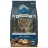 Blue Buffalo Wilderness Puppy High Protein Natural Chicken & Wholesome Grains Dry Dog Food -Blue Buffalo Shop 733510 MAIN. AC SS1800 V1694547150