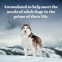 Blue Buffalo Wilderness Beef & Salmon Variety Pack Wet Dog Food 13 Blue Buffalo Wilderness Beef & Salmon Variety Pack Wet Dog Food -Blue Buffalo Shop 735422 PT3. AC SS1800 V1671574470