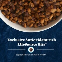 Blue Buffalo Wilderness Adult High Protein Natural Duck & Wholesome Grains Dry Dog Food -Blue Buffalo Shop 735486 PT6. AC SS1800 V1694548887