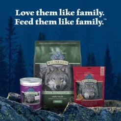 Blue Buffalo Wilderness Adult High Protein Natural Duck & Wholesome Grains Dry Dog Food -Blue Buffalo Shop 735486 PT8. AC SS1800 V1694547774