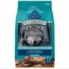 Blue Buffalo Wilderness Large Breed Adult High Protein Natural Salmon & Wholesome Grains Dry Dog Food, 28-lb Bag 1 Blue Buffalo Wilderness Large Breed Adult High Protein Natural Salmon & Wholesome Grains Dry Dog Food, 28-lb Bag -Blue Buffalo Shop 735518 MAIN. AC SS1800 V1694547091