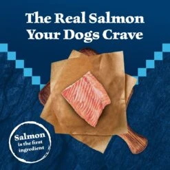 Blue Buffalo Wilderness Large Breed Adult High Protein Natural Salmon & Wholesome Grains Dry Dog Food, 28-lb Bag -Blue Buffalo Shop 735518 PT2. AC SS1800 V1694547774
