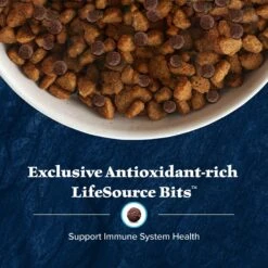 Blue Buffalo Wilderness Large Breed Adult High Protein Natural Salmon & Wholesome Grains Dry Dog Food, 28-lb Bag -Blue Buffalo Shop 735518 PT6. AC SS1800 V1694548942