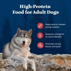 Blue Buffalo Wilderness Rocky Mountain Recipe Adult High Protein Natural Red Meat & Grain Dry Dog Food -Blue Buffalo Shop 735590 PT3. AC SS1800 V1694547716