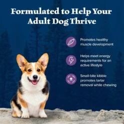 Blue Buffalo Wilderness Adult Small Bite High Protein Natural Chicken & Wholesome Grains Dry Dog Food -Blue Buffalo Shop 735670 PT3. AC SS1800 V1694548888