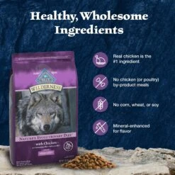 Blue Buffalo Wilderness Adult Small Bite High Protein Natural Chicken & Wholesome Grains Dry Dog Food -Blue Buffalo Shop 735670 PT5. AC SS1800 V1694548944
