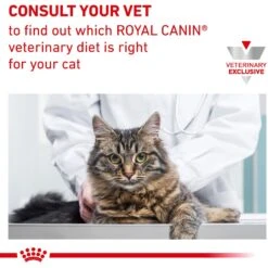 Royal Canin Veterinary Diet Adult Calm Dry Cat Food -Blue Buffalo Shop 73703 PT6. AC SS1800 V1642608391