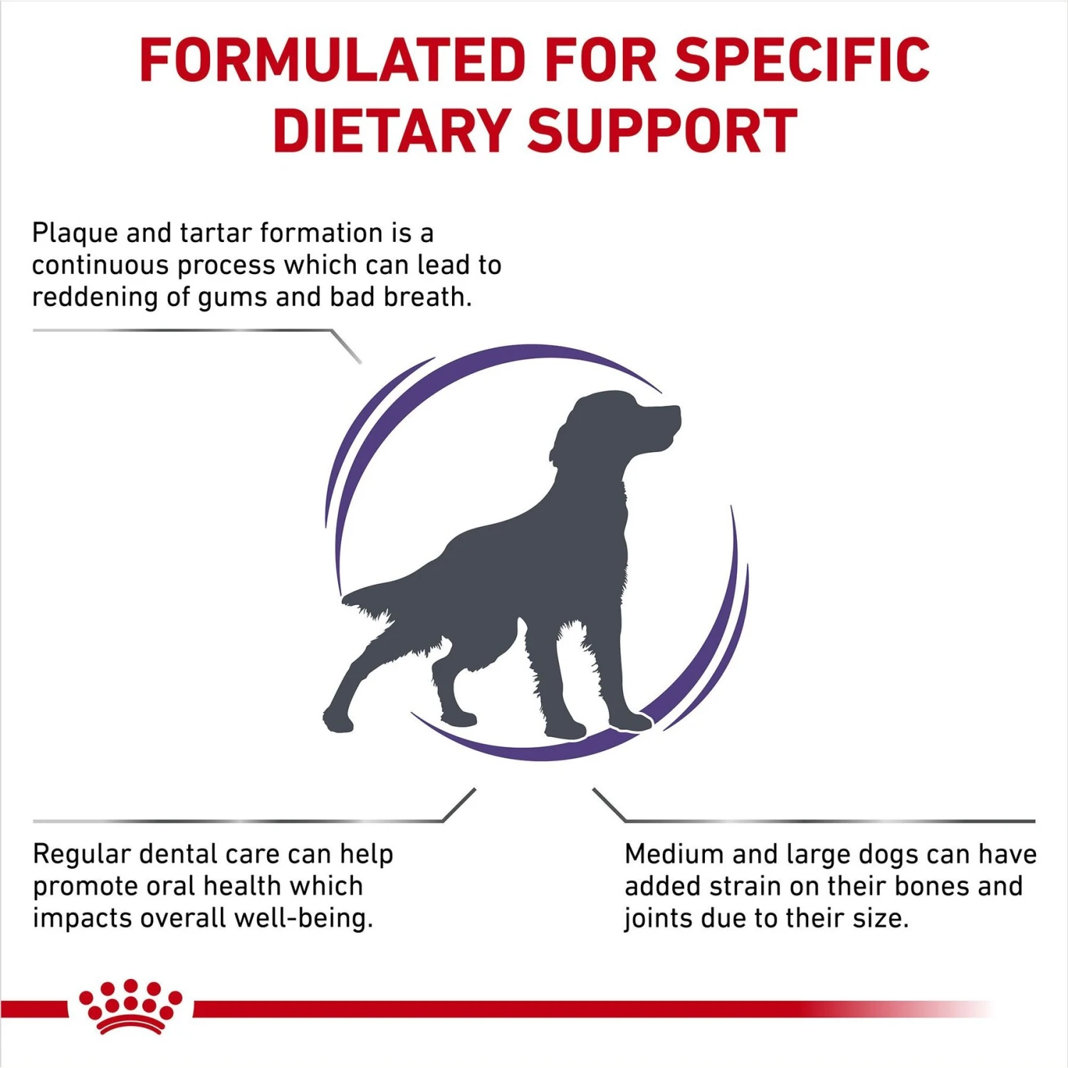 Royal Canin Veterinary Diet Adult Dental Medium & Large Breed Dry Dog Food 5 Royal Canin Veterinary Diet Adult Dental Medium & Large Breed Dry Dog Food - Image 3