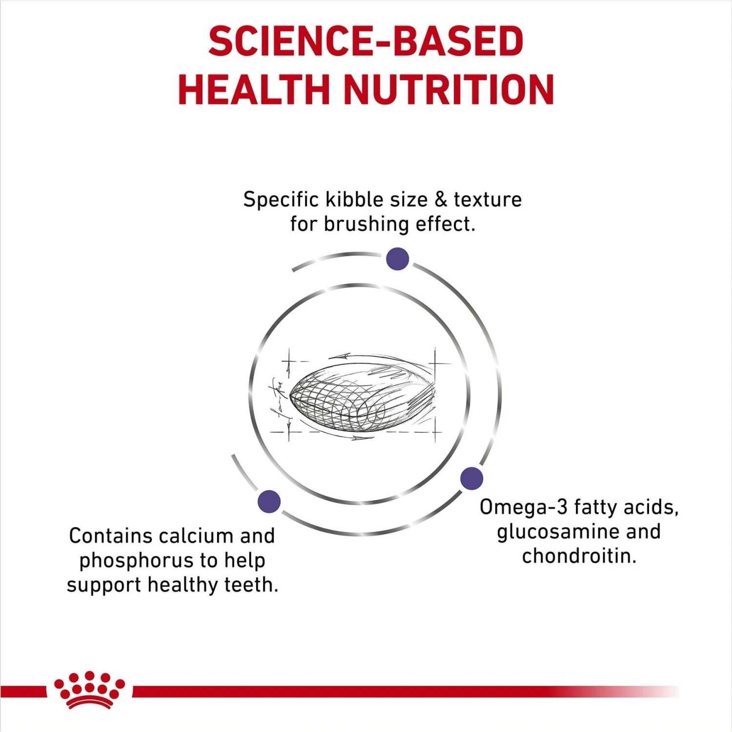 Royal Canin Veterinary Diet Adult Dental Medium & Large Breed Dry Dog Food 6 Royal Canin Veterinary Diet Adult Dental Medium & Large Breed Dry Dog Food - Image 4