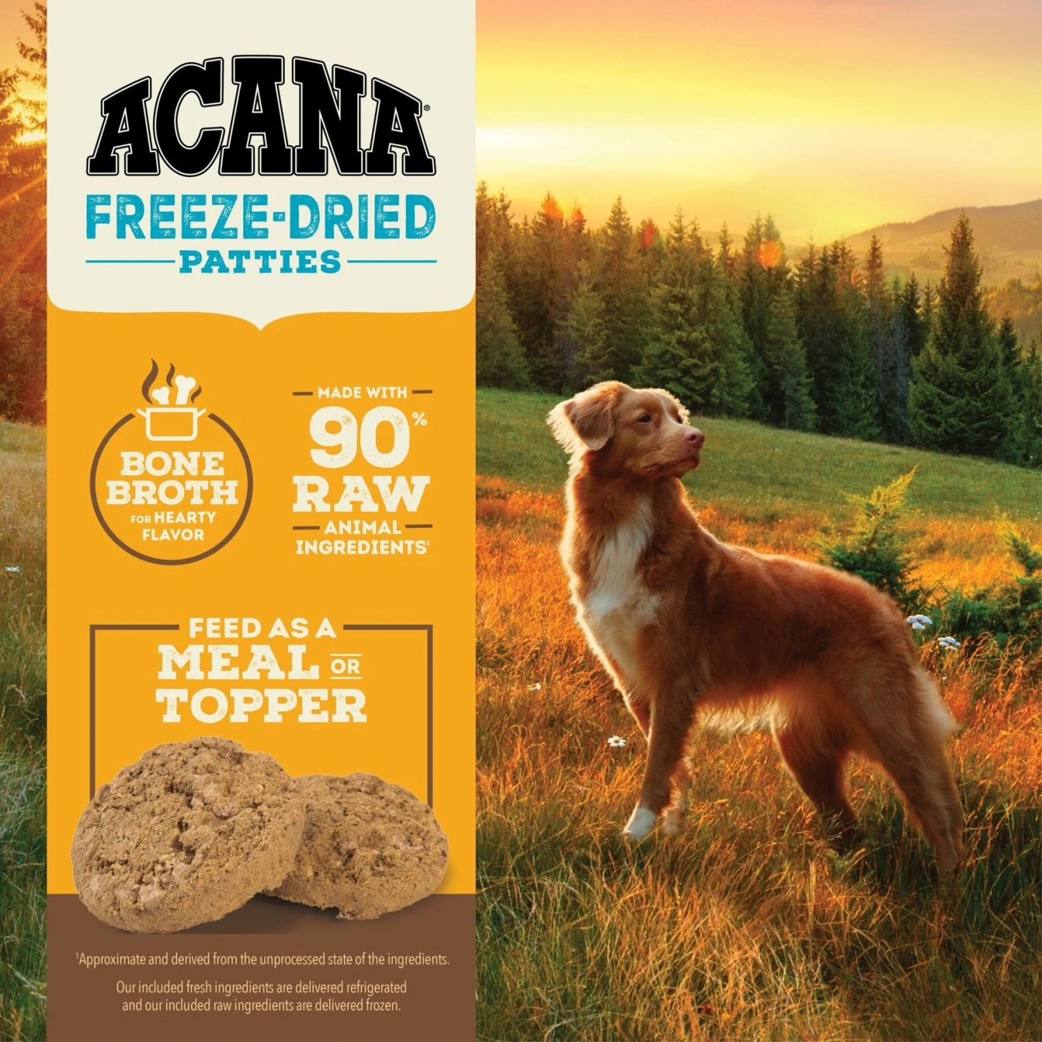 ACANA Chicken Recipe Patties Grain-Free Freeze-Dried Dog Food & Topper, 14-oz Bag 8 ACANA Chicken Recipe Patties Grain-Free Freeze-Dried Dog Food & Topper, 14-oz Bag - Image 6