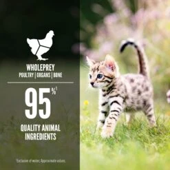 ORIJEN Kitten Recipe Chicken + Salmon Entree In Bone Broth Wet Cat Food 12 ORIJEN Kitten Recipe Chicken + Salmon Entree In Bone Broth Wet Cat Food -Blue Buffalo Shop 741350 PT4. AC SS1800 V1681756777