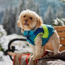 Frisco Heavy Weight Urban City Colorblock Dog & Cat Parka With Sherpa Lining 16 Frisco Heavy Weight Urban City Colorblock Dog & Cat Parka With Sherpa Lining -Blue Buffalo Shop 742262 PT7. AC SS1800 V1692378161