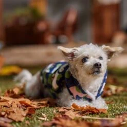 Frisco Medium Weight Urban City Camo Printed Dog & Cat Hooded Coat 18 Frisco Medium Weight Urban City Camo Printed Dog & Cat Hooded Coat -Blue Buffalo Shop 742358 PT7. AC SS1800 V1692376368