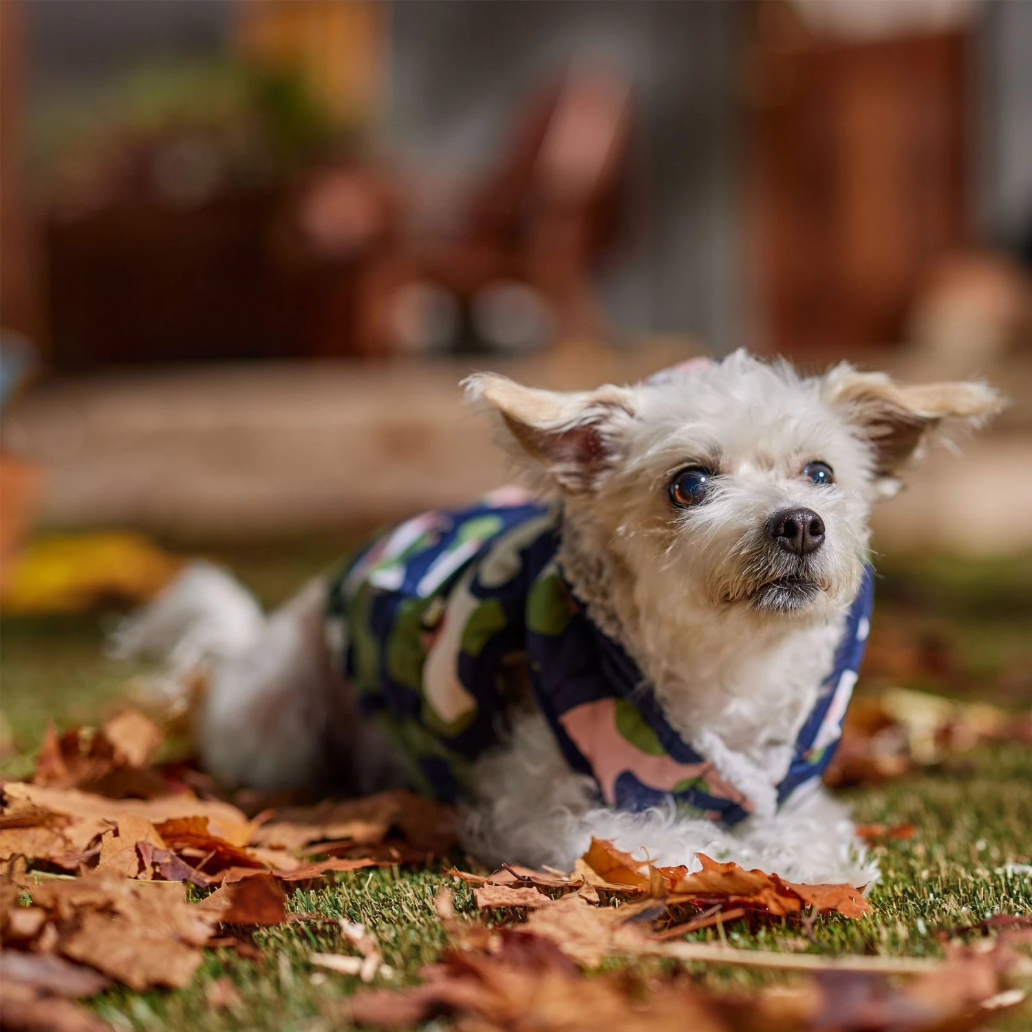 Frisco Medium Weight Urban City Camo Printed Dog & Cat Hooded Coat 10 Frisco Medium Weight Urban City Camo Printed Dog & Cat Hooded Coat - Image 8