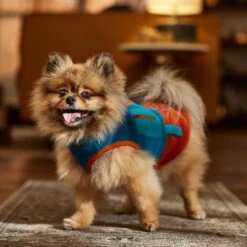 Frisco Light Weight Utility Colorblock Fleece Dog & Cat Vest -Blue Buffalo Shop 743030 PT7. AC SS1800 V1692378220