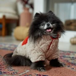 Frisco Medium Weight Quilted Sherpa Dog & Cat Zipper Coat 16 Frisco Medium Weight Quilted Sherpa Dog & Cat Zipper Coat -Blue Buffalo Shop 744166 PT7. AC SS1800 V1692377763