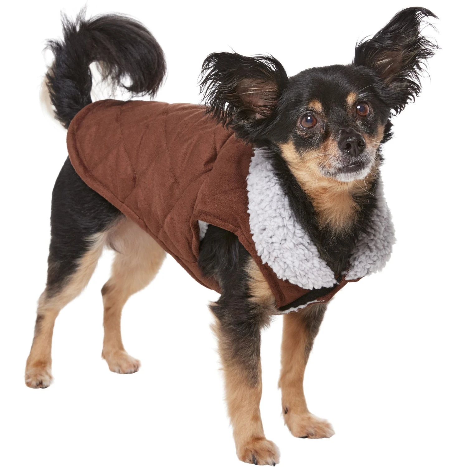 Frisco Medium Weight Quilted Dog & Cat Coat With Cozy Sherpa Lining 5 Frisco Medium Weight Quilted Dog & Cat Coat With Cozy Sherpa Lining - Image 3