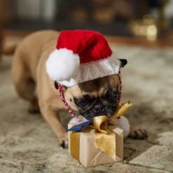 Frisco Chunky Knit Santa Dog & Cat Hat 14 Frisco Chunky Knit Santa Dog & Cat Hat -Blue Buffalo Shop 744878 PT5. AC SS1800 V1694793814