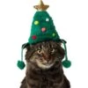 Frisco Christmas Tree Faux Fur Dog & Cat Hat -Blue Buffalo Shop 745582 MAIN. AC SS1800 V1694794909