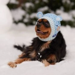 Frisco Nordic Ears Sweater Knit Dog & Cat Hat 14 Frisco Nordic Ears Sweater Knit Dog & Cat Hat -Blue Buffalo Shop 745710 PT5. AC SS1800 V1695671059