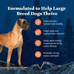 Blue Buffalo Wilderness Large Breed Adult High Protein Natural Chicken & Wholesome Grains Dry Dog Food -Blue Buffalo Shop 748294 PT3. AC SS1800 V1694549409