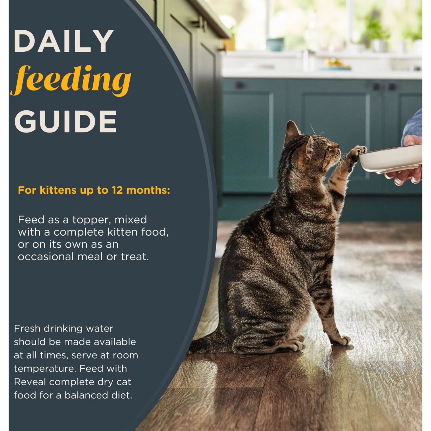 Reveal Natural Limited Ingredient Grain-Free Chicken Breast In Broth Wet Kitten Food, 2.47-oz, Case Of 12 8 Reveal Natural Limited Ingredient Grain-Free Chicken Breast In Broth Wet Kitten Food, 2.47-oz, Case Of 12 - Image 6