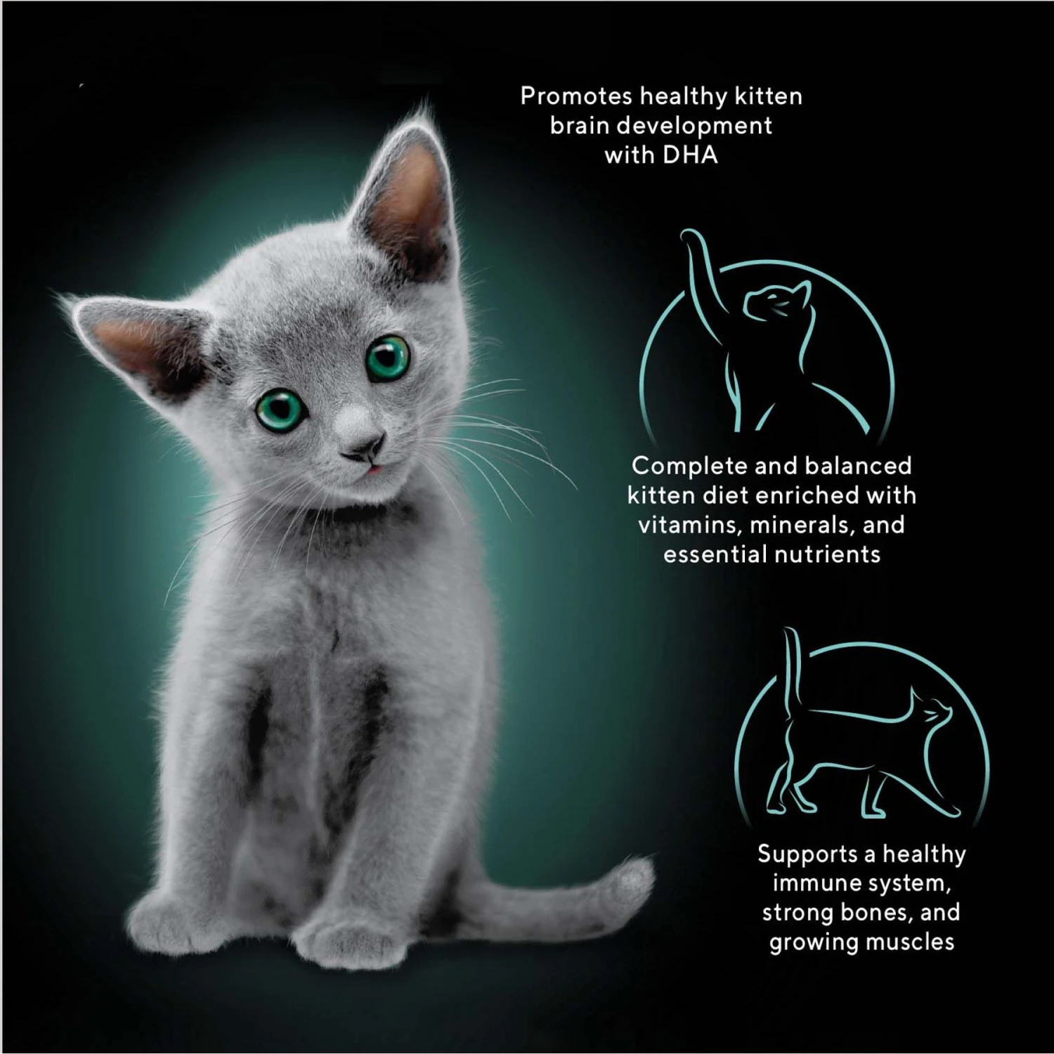 Sheba Perfect Portions Kitten Chicken Pate Wet Cat Food 5 Sheba Perfect Portions Kitten Chicken Pate Wet Cat Food - Image 3