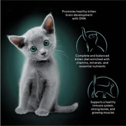 Sheba Perfect Portions Kitten Salmon Soft Pate Wet Cat Food -Blue Buffalo Shop 752966 PT2. AC SS1800 V1672850420