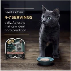 Sheba Perfect Portions Kitten Salmon Soft Pate Wet Cat Food -Blue Buffalo Shop 752966 PT6. AC SS1800 V1672851838