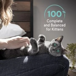 Sheba Perfect Portions Kitten Salmon Soft Pate Wet Cat Food -Blue Buffalo Shop 752966 PT8. AC SS1800 V1672842512