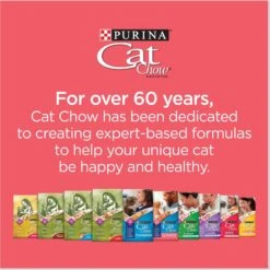 Cat Chow Complete High Protein Salmon Dry Cat Food 18 Cat Chow Complete High Protein Salmon Dry Cat Food -Blue Buffalo Shop 754158 PT7. AC SS1800 V1673381444
