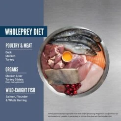 ORIJEN Guardian Senior 7+ Grain-Free Dry Cat Food 12 ORIJEN Guardian Senior 7+ Grain-Free Dry Cat Food -Blue Buffalo Shop 755534 PT3. AC SS1800 V1686239070