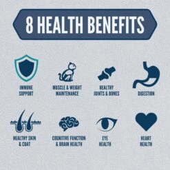 ORIJEN Guardian Senior 7+ Grain-Free Dry Cat Food 14 ORIJEN Guardian Senior 7+ Grain-Free Dry Cat Food -Blue Buffalo Shop 755534 PT5. AC SS1800 V1686239064