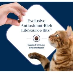 Blue Buffalo Basics Skin & Stomach Care Grain-Free Formula Duck & Potato Indoor Adult Dry Cat Food 17 Blue Buffalo Basics Skin & Stomach Care Grain-Free Formula Duck & Potato Indoor Adult Dry Cat Food -Blue Buffalo Shop 75578 PT6. AC SS1800 V1646281582