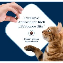 Blue Buffalo Basics Skin & Stomach Care Grain-Free Formula Fish & Potato Indoor Adult Dry Cat Food 17 Blue Buffalo Basics Skin & Stomach Care Grain-Free Formula Fish & Potato Indoor Adult Dry Cat Food -Blue Buffalo Shop 75581 PT6. AC SS1800 V1646251593