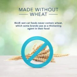 Blue Buffalo Freedom Indoor Kitten Chicken Recipe Grain-Free Canned Cat Food -Blue Buffalo Shop 75600 PT4. AC SS1800 V1585083429